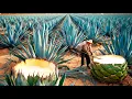 Download Lagu How Farmers Grow \u0026 Harvest Blue Agave for Premium Tequila | Making Tequila from Agave