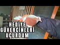 HEDİYE GÜVERCİNLERİ UÇURDUM. 