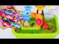 Download Lagu [Toy asmr] Baby Shark \u0026 Zuru Fish \u0026 Nino Fish \u0026 Turtle RC \u0026 Aquarium ASMR Satisfying with Unboxing