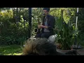 Niels Vincentz improvisation at The Garden Studio