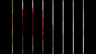 الليلة ليلة الليالى بالدف بدون موسيقى اناشيد فرح انشود فرح اجمل ما تكون  الليلة ليلة الليالى بالدف بدون موسيقى اناشيد فرح انشود فرح اجمل ما تكون