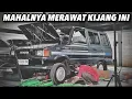 Download Lagu BLI KIJANG: Kijang paling bahagia di Indonesia