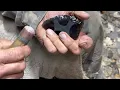 Knapping obsidian slab