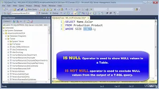 SQL Tutorial - Filtering data with NULL in SQL