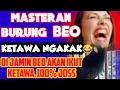 Download Lagu masteran burung beo ketawa ngakak 100% ampuh