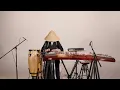 The Eagles - Hotel California - Reimagined on the Traditional Chinese Guzheng | Moyun