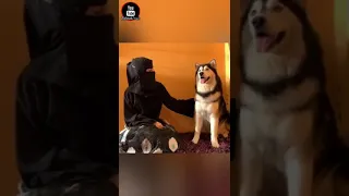 بنت سعوديه تصور ايك توك مع كلبها بس جاب العيد 