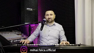 Download Mihai Falca💥Fete cate vrei💥+ BANII 💶 New 2023 (cover) MP3