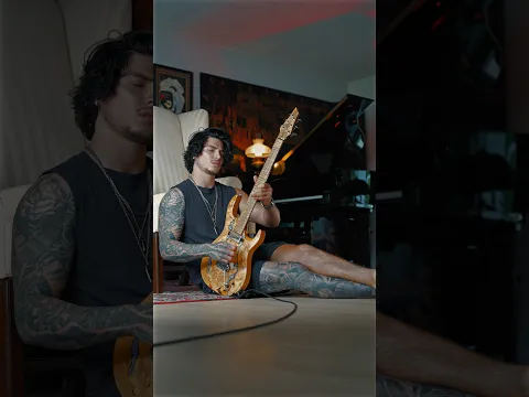 @CelineDion  was begging for guitar #celinedion #guitarcover