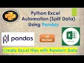 Python Excel Automation Split the Excel Data using Python Pandas