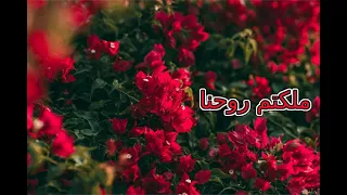 اجمل نغمة رنين   ملكتم روحنا دندنها