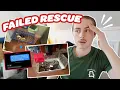I TRIED TO RESCUE 8 GUINEA PIGS BUT I WAS EXPOSED