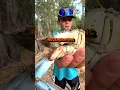 Claw-Kid Teaches You About Crab Claws