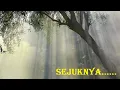 Download Lagu Suara kicau burung pagi hari di pedesan