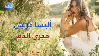                             مترجم دندنها