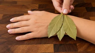 A plant that heals everything❗️ Vision, kidneys, gut, heart, and bones—like new.