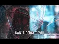Download Lagu Nightcore → Can't Forget You (My Darkest Days)