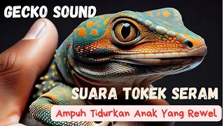 suara tokek keras seram pengantar tidur ampuh tidurkan anak yang rewel suara tokek asli