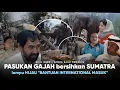 Gajah2 Bantu EVAKUASI “Gubernur Aceh :Bantuan Luar Negeri MASUK!” ini Lebih Besar dari Tsunami 2004