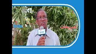 إستئناف الدراسة بالصفين السادس إبتدائي والثالث ثانوي بالجزيرة الأحد المقبل 