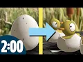 2 Minute Timer Baby Ducks Hatching from Eggs