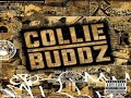 Collie Buddz - Come Around