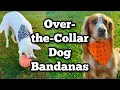 DIY Over the Collar Dog Bandana Sew in 15 Minutes or Less
