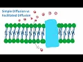 Simple Diffusion vs Facilitated Diffusion Cell Biology Biology