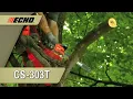 ECHO Chainsaws CS 303T Engine Product Knowledge