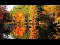 Download Lagu Сборник  этих мелодий наполнит ваш дом теплом и радостью, #МУЗЫКА #КРАСИВАЯМУЗЫКА