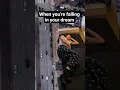 Download Lagu Why do we dream of falling? #dream #falling #couplecomedy #couple