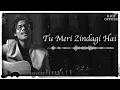 Download Lagu Tu Meri Zindagi Hai | R JOY | Aashiqui | Anurag Basu | Kumar Sanu | Sreeleela | @pritam7415
