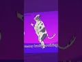 Download Lagu Dancing laughing cow does the Macarena