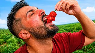I Tried Every Spice Level Challenge 🇺🇸