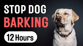 Sound To Stop Dogs Barking For dog training and correction 12 Hours