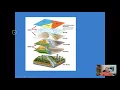 GIS 2 - Vector and Raster Data in GIS