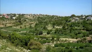 علي الديك عتابا 1 