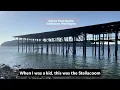 Salters Point Marina in Steilacoom Washington