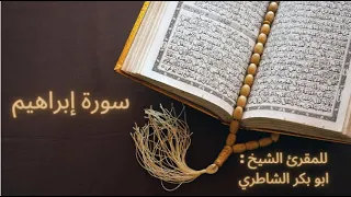 سورة إبراهيم للمقرئ الشيخ أبو بكر الشاطري 