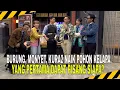 Download Lagu NGAKAK PARAH, TEBAKAN PASUKIN BIKIN AYU BINGUNG | MOMEN SERU LAPOR PAK! (12/03/25)