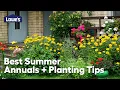 Planting Tips for Summer Annuals