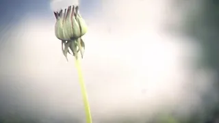 طوبى لها   محمد العريني دندنها