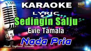 Download Sedingin Salju - Nada Pria Karaoke Tanpa Vokal MP3