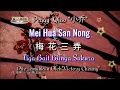 Download Lagu Mei hua san nong 梅花三弄 - 小乔 Peggy Qiao (Lirik dan Terjemahan)