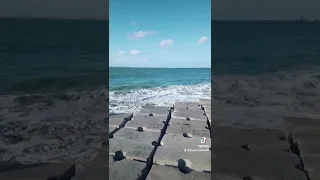 النفسيه محتاجه اسكندريه   دندنها