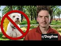 The INSANE Dogfree compilation