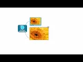 Add images to your SimpleMind Mind Map