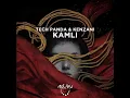 Kamli - Tech Panda & Kenzani