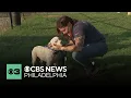 As more people give up their pets due to high costs get to know these Philly-area programs