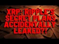 Download Lagu XRP: RIPPLE'S SECRET PLANS ACCIDENTALLY LEAKED?!
